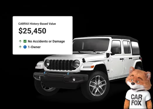 Car Fox mascot